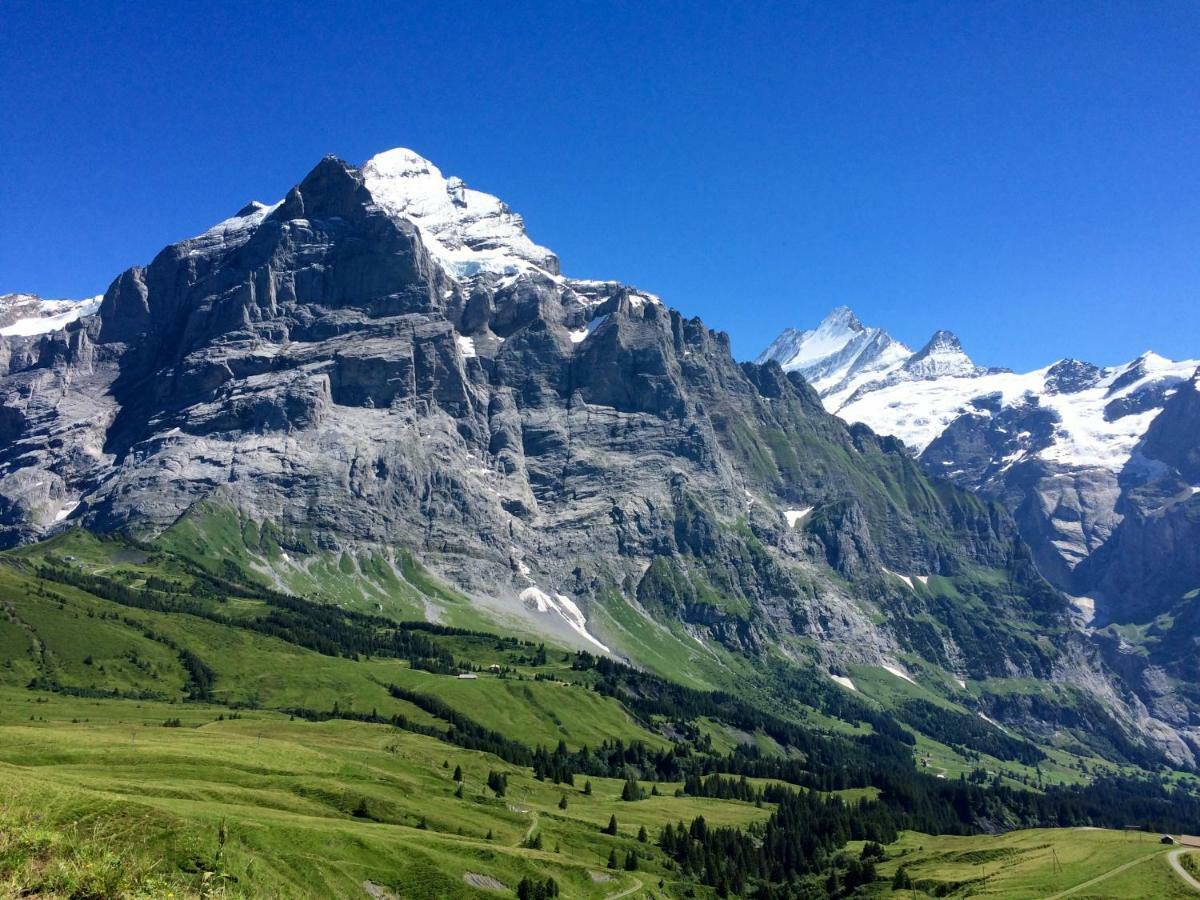 Wetterhorn, Eiger, Jungfrau, Amazing! Leilighet Grindelwald Eksteriør bilde