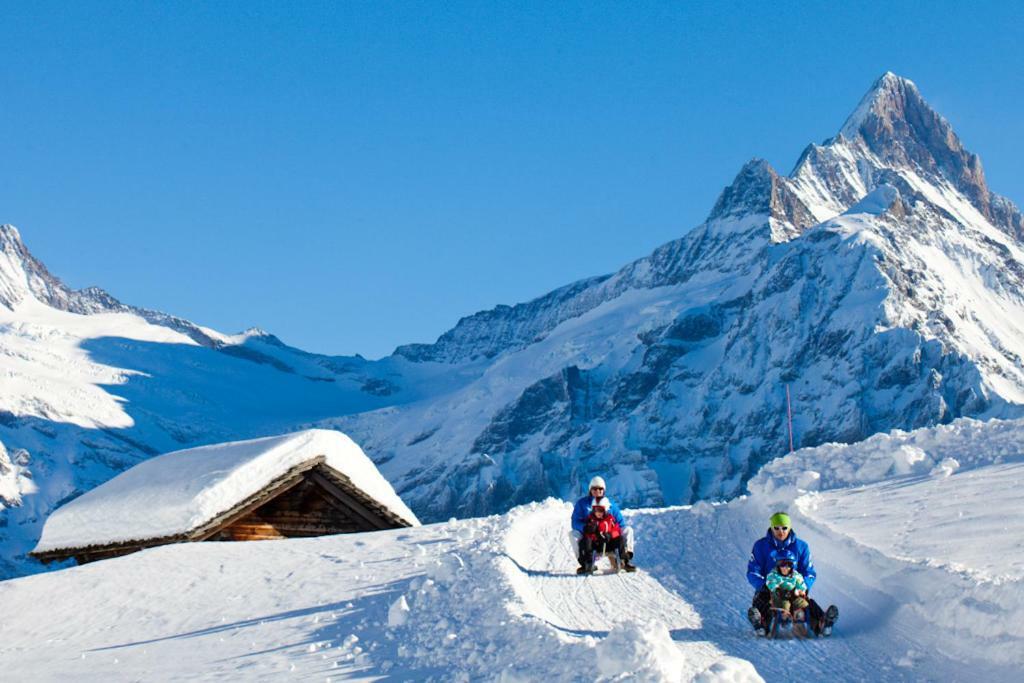 Wetterhorn, Eiger, Jungfrau, Amazing! Leilighet Grindelwald Eksteriør bilde